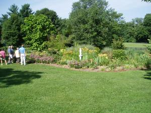 CARRITHER'S GARDENS 004