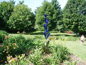 CARRITHER'S GARDENS 005