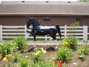 BLACK HORSE GARDEN 001